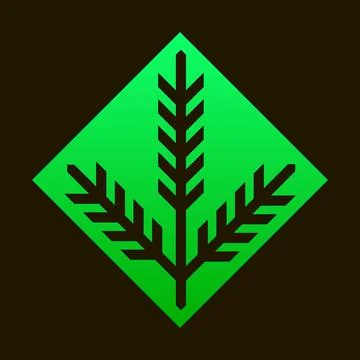 Sign of branch of coniferous tree Stock Illustration