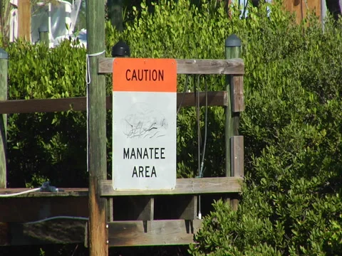 Sign "Caution Manatee Area" 01 Stock Footage 41387765