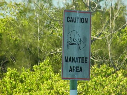 Sign "Caution Manatee Area" 02 Stock Footage 41387650