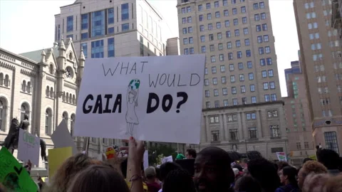 Sign at climate protest asks "What would Gaia do?" Stock Footage 317879779