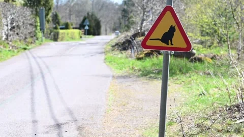 Sign on country road watch out for Stock Video Pond5