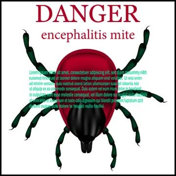 Sign the danger of tick encephalitis. vector illustration. Stock Illustration