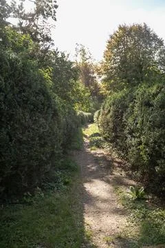 A sign on a dirt path in a forest Stock Photos