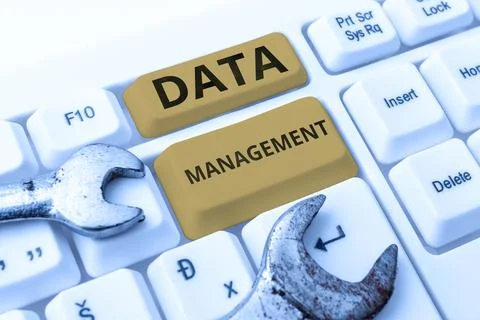 Sign displaying Data Management. Word for disciplines related to managing data Foto stock