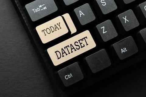 Sign displaying Dataset. Internet Concept collection of numbers or values that Foto stock