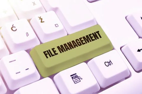 Sign displaying File Managementcomputer program that provides user interface to Stock Photos