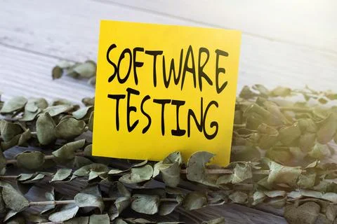 Sign displaying Software Testing. Business approach evaluate the functionality Foto stock