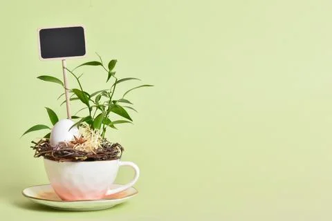 A sign with an Easter composition with eggs in a cup on a green background. Z Stock Photos