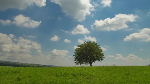 A sign in a field 스톡 동영상 156845923