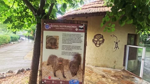 A sign that is on. Stock Footage 282608032