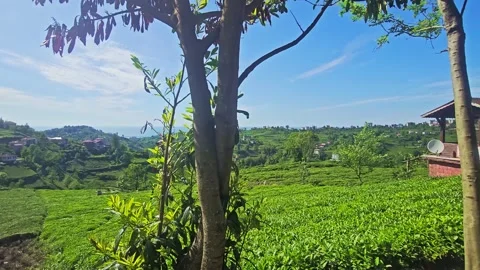 A sign that is on. Stock Footage 282976413