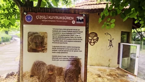 A sign that is on. Stock Footage 284672745