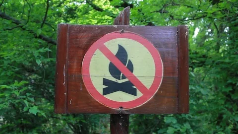 Sign In The Forest, Forbidden To Light A Fire Stock-Footage 90257351