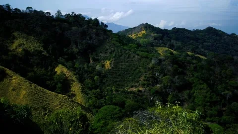 A sign in front of a forest Stock Footage 156012636