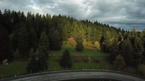 A sign in front of a forest Stock Footage 156335537