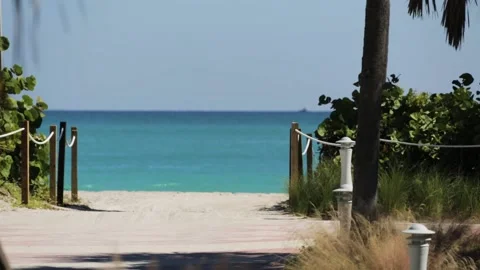 A sign in front of a palm tree Stock-Footage 155584689
