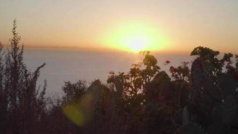 A sign in front of a sunset Stock Footage 155583272