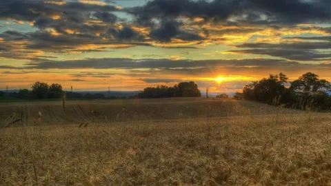 A sign in front of a sunset Stock Footage 156012005
