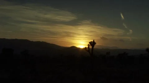 A sign in front of a sunset 库存影片 157859516