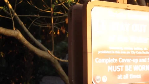 A sign in front of a tree Stock Footage 156012064