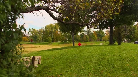 A sign in front of a tree Stock Footage 156024876