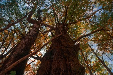 A sign in front of a tree Stock Photos