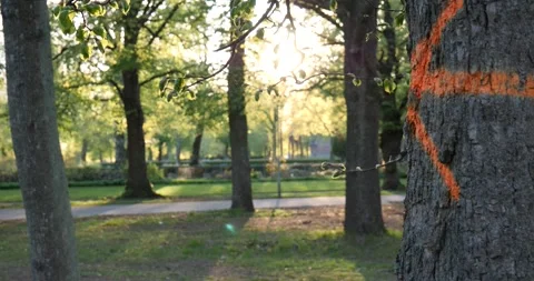 Sign to the graveyard Stock Footage 130381491