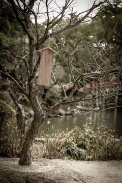 Sign Hanging on Tree Stock Photos