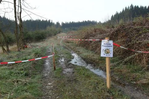Sign indicating frog spawn in a lane on a forest path Allgaeu Bavaria Germany Stock Photos