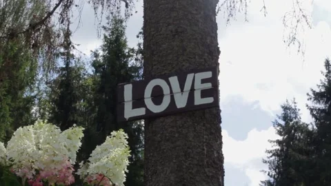 The sign "love" on the tree Stock Footage 163567516