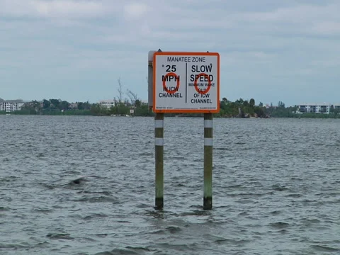 Sign "Manatee Zone 25 mph" Stock Footage 41389207