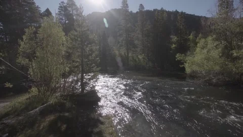 A sign in the middle of a forest Stock-Footage 155583610