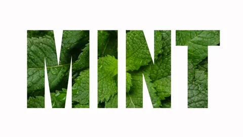 A sign Mint on white background. Word Mint. Mint fresh leaves in word - Mint Stock Footage 254665299
