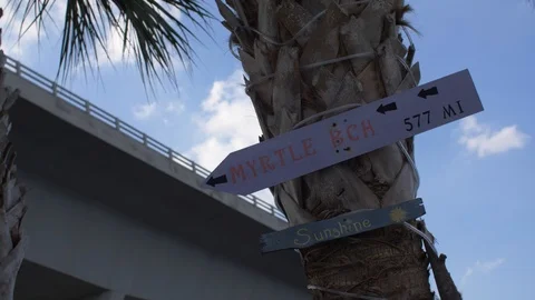 Sign of Myrtle Beach on Palm Tree Stock Footage 93730133
