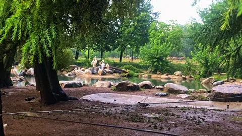 A sign with a picture. Stock Footage 282628796