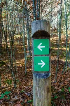 Sign post in the woods Stock Photos