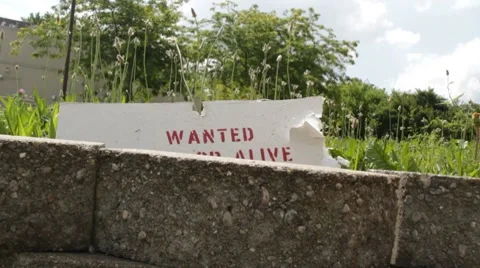 Sign Reader Video stock 7645467