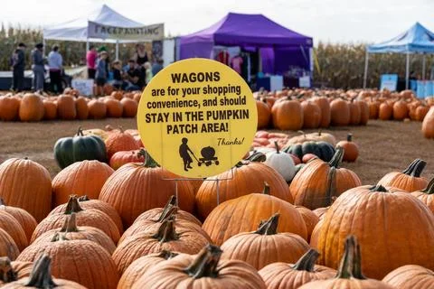 SIgn reminding customers at the pumpkin patch to keep wagons in the pumpkin.. Stock Photos