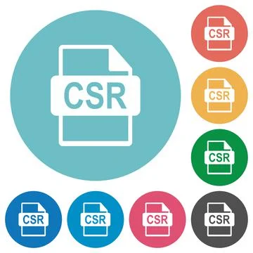 Sign request file of SSL certification flat round icons イラスト素材