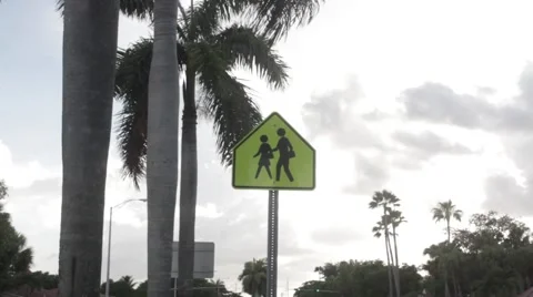 SIGN - School Crossing Zone Stock Footage 65188125
