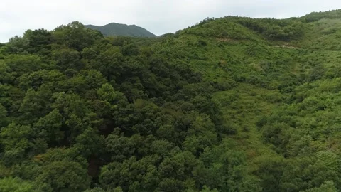 A sign on the side of a mountain Stock Footage 156337647