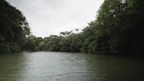 A sign on the side of a river Stock Footage 156021762