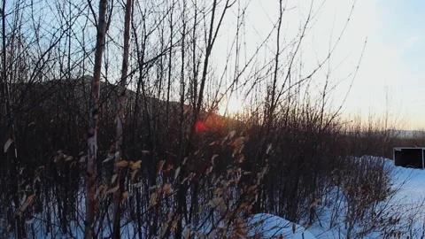 A sign on the side of a snow covered forest Stock Footage 156012147
