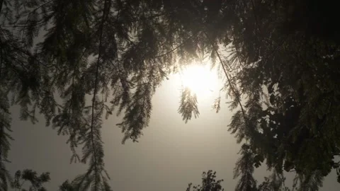 A sign on the side of a snow covered forest Stock Footage 156016597