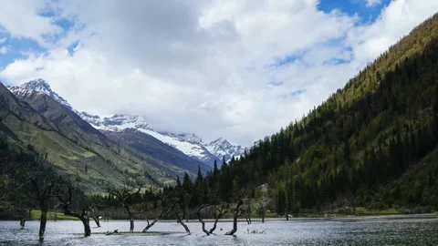 A sign on the side of a snow covered mountain Stock Footage 156843467