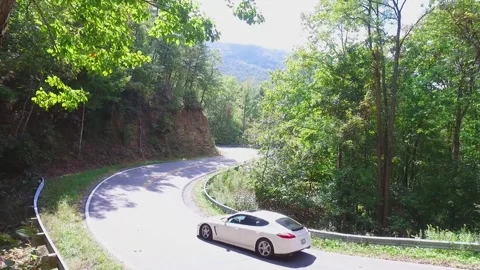 A sign on the side of a tree 動画素材 156014556