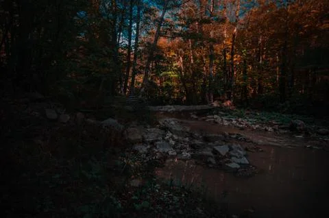 A sign on the side of a tree Foto stock