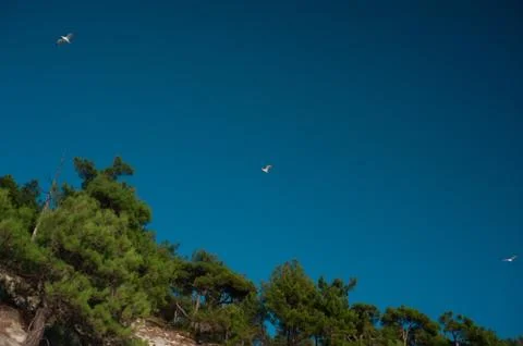 A sign on the side of a tree Stock Photos