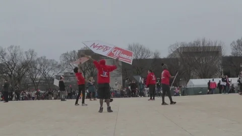 Sign Spinners Protesting - Womens March DC Stock Footage 81257606