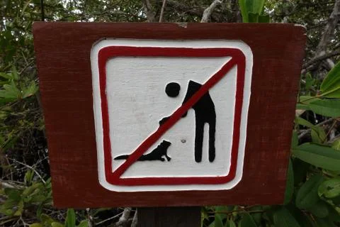 Sign stating do not feed the Marine Iguanas Isabella, Galapagos Stock Photos